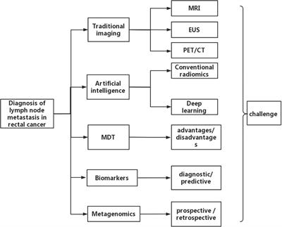 Progress in the diagnosis of lymph node metastasis in rectal cancer: a review